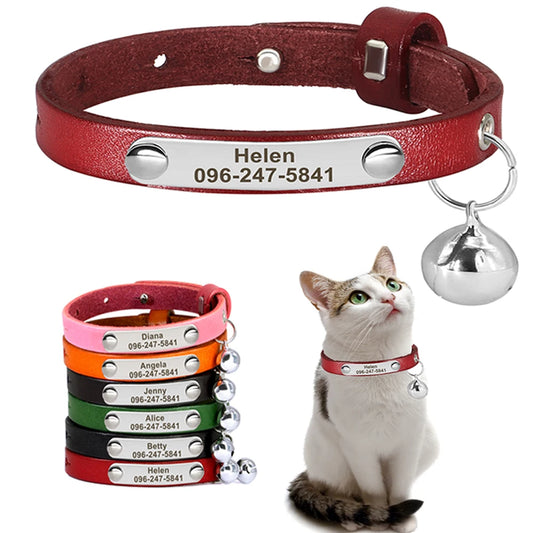 cat collar